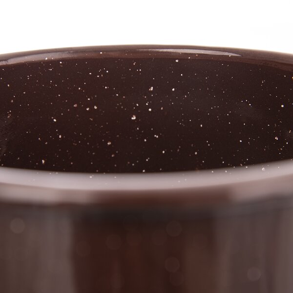 Rajnica BROWN 0,6 l