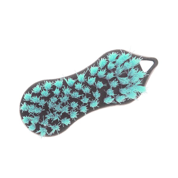 Kefa Brush graphite